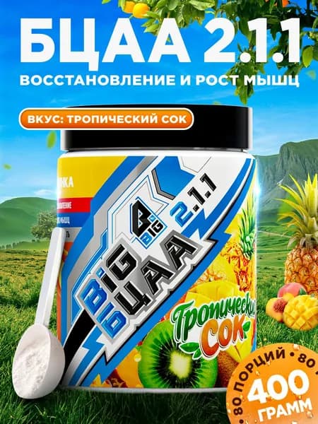 Аминокислоты BCAA 2:1:1 БЦАА BIGSNT, 400 гр, 80 порций