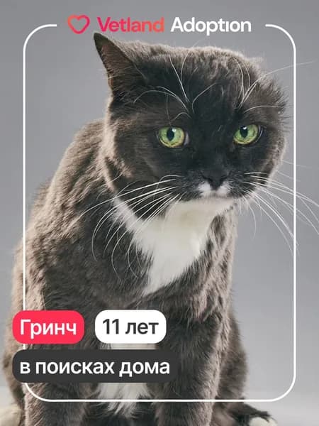 Помочь Гринч найти дом
