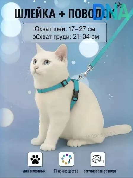 Шлейка с поводком для кошек,котов, котят,собак мелких пород, щенков и кролика,прогулочная регулируемая цвет голубой