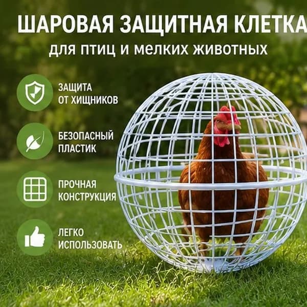 Куриный домик в форме шара