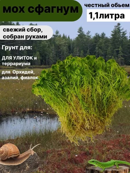 мох сфагнум 1,1 л.