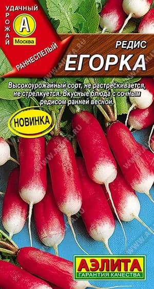 Редис "Егорка" семена Аэлита для открытого грунта и теплиц, 2 гр