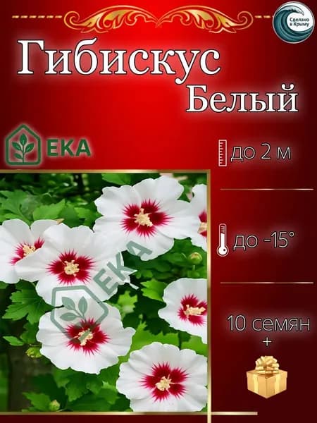Семена ,10шт