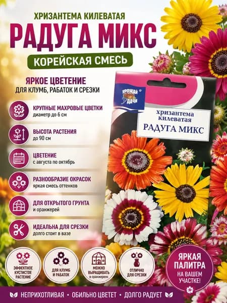 Хризантема килеватая "Радуга микс", Корейская смесь для клумб, рабатках и на срезку