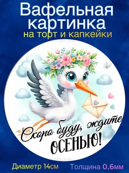 Вафельная картинка диаметр 14 сантиметров Гендер пати. Сладкая картинка, съедобная печать для декора торта, бенто-торта, украшения пряников и капкейков.