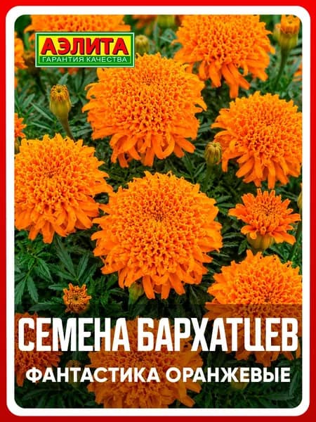 Семена Бархатцы прямостоячие "Фантастика оранжевые" хризантемовидные Тагетес 0,1 гр, однолетние цветы для дачи и сада, клумбы, в открытый грунт, в контейнер.