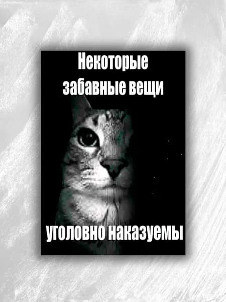 Плакат-мем "Кот-предупреждает" А4 (32 см х 23 см)