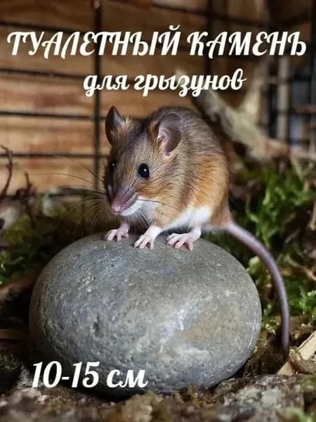 Камень для грызунов , туалетный.