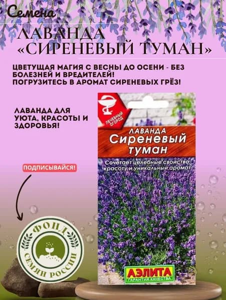 Семена Лаванда Сиреневый Туман 0,1 грамм