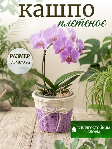 Кашпо плетеное декоративное для цветов и мелочей
