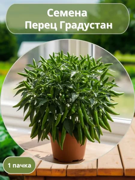 Перец острый Градустан, семена 10 шт