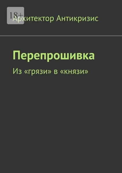 Перепрошивка. Из грязи в князи | Архитектор Антикризис | Электронная книга