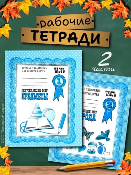 Рабочие тетради Окружающий мир, 2 части