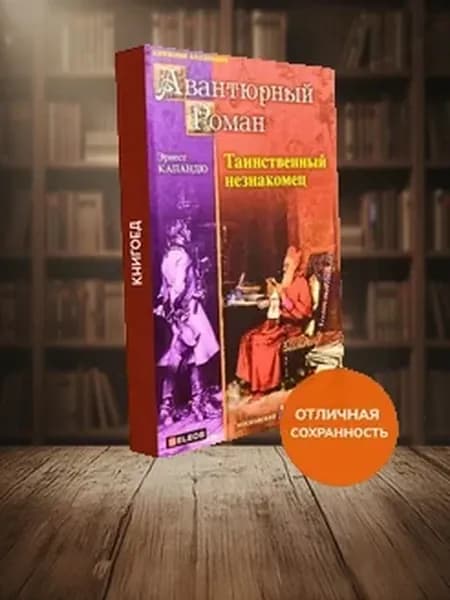 Таинственный незнакомец. Французский авантюрный роман