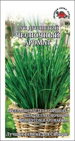 Лук Душистый Чесночный аромат /Сотка/ 0,3г/среднесп. 35-50см