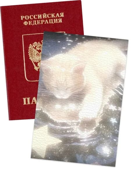 чехол на паспорт у2к