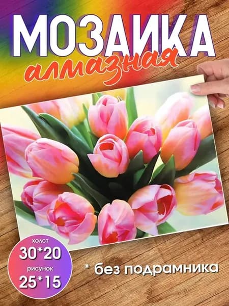 Алмазная мозаика 30х20см без подрамника