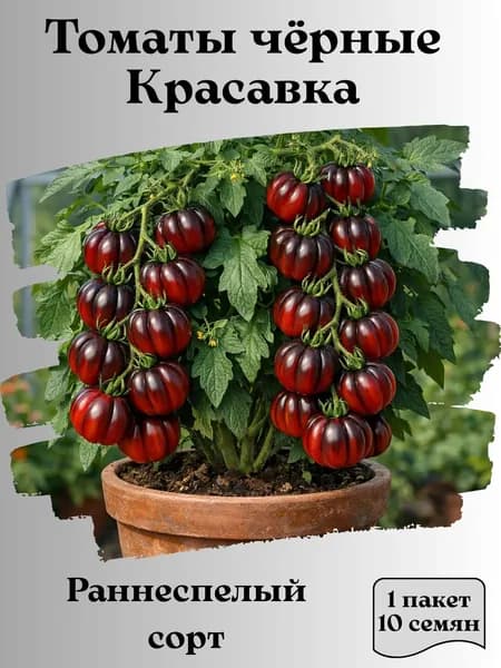 Томаты чёрные Красавка, семена, 10 шт.