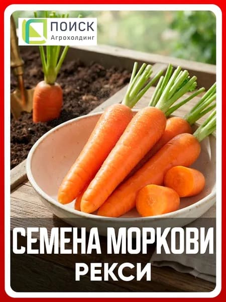 Семена Моркови "Рекси" на ленте 8 метров, для дома, дачи и огорода, морковь из семян, в открытый грунт.