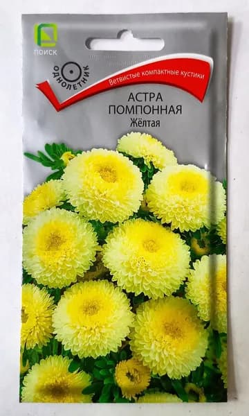 Семена Астра Желтая помпонная