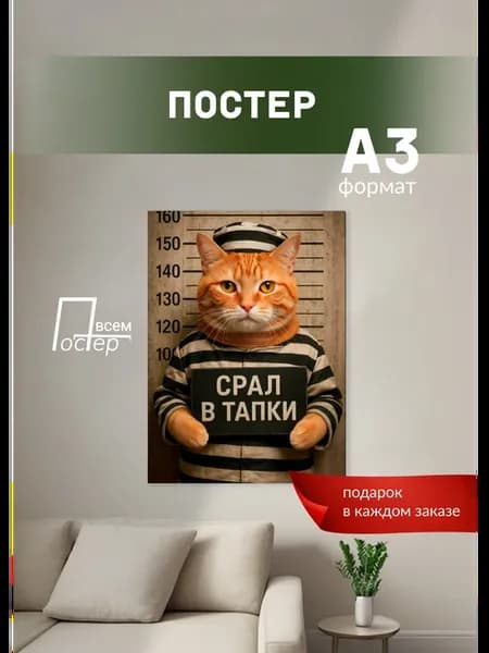 Постеры на стену срал в тапки
