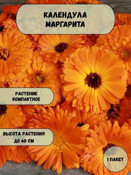 Календула Маргарита семена 10 шт
