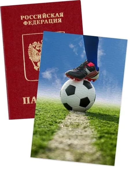 Обложка на паспорт футбол