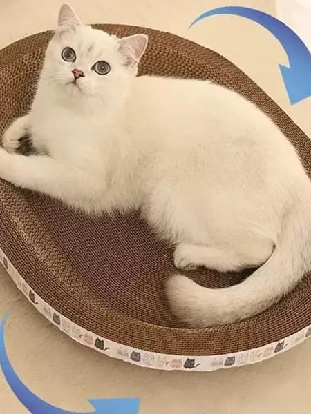 Когтеточка для кошачьей доски и кошачье гнездо подходят для кошек, чтобы точить когти, спать и хватать игрушки.