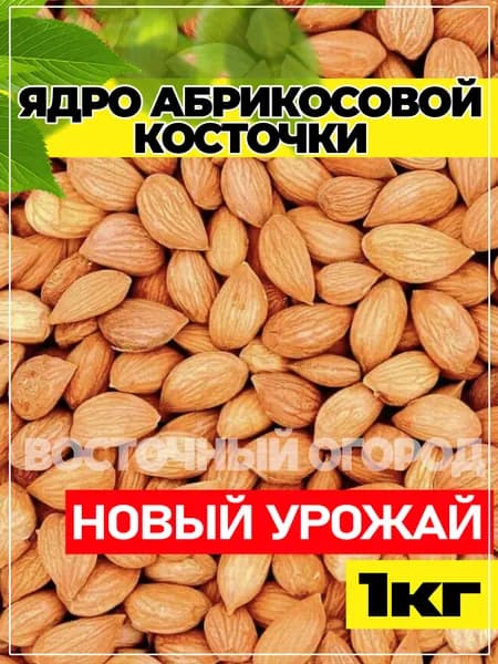 Ядро абрикосовых косточек 1кг, сырые, без обжарки Таджикистан