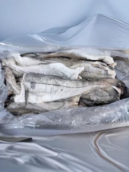 Пикша без головы потрошёная (Мурманская) коробка 12 кг штучной заморозки