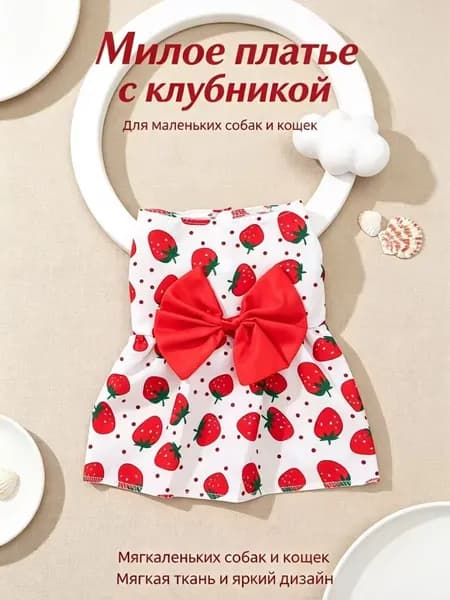 Одежда для домашних животных с клубничным принтом