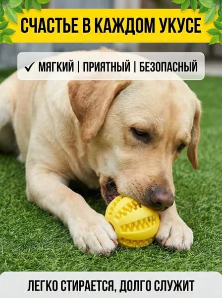 Сверхпрочный мяч Актив-Пульс: износостойкая игрушка для энергичных игр на природе