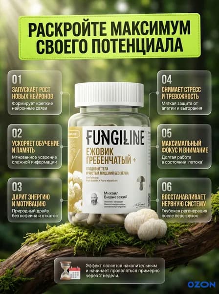 Ежовик гребенчатый, + 60 капсул