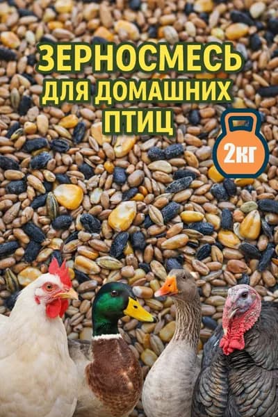 Зерносмесь для домашней птицы универсальная