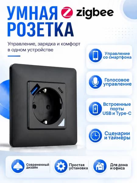 Умная Zigbee розетка с USB и Type-C для умного дома с Алисой, 220В, черная SmartLife SECTEC