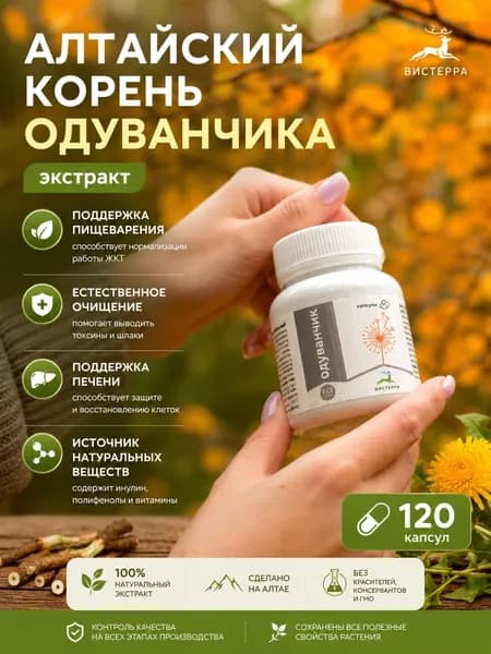 Экстракт одуванчика 120 капсул для печени и пищеварения Вистерра