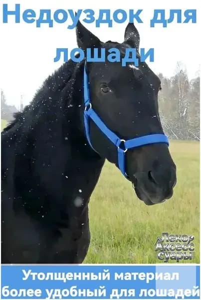 Недоуздок для лошади COB синий