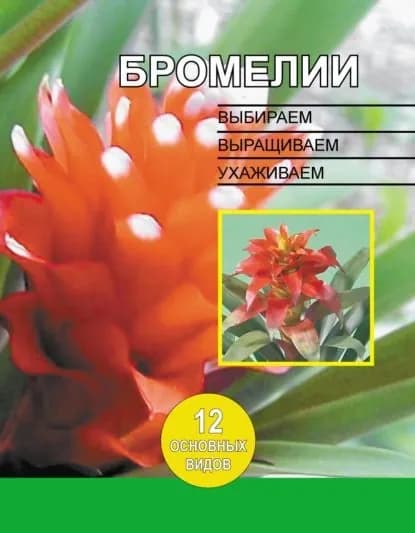 Бромелии. Выбираем, выращиваем, ухаживаем | Электронная книга