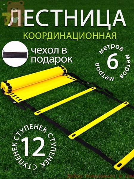 Координационная дорожка