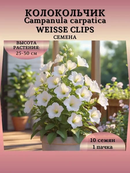 Колокольчик карпатский "Weisse Clips", семена, 1 пачка