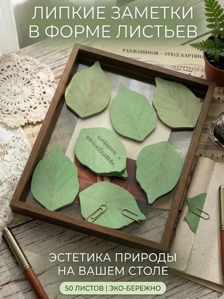 Бумага для заметок 1 шт., листов: 50