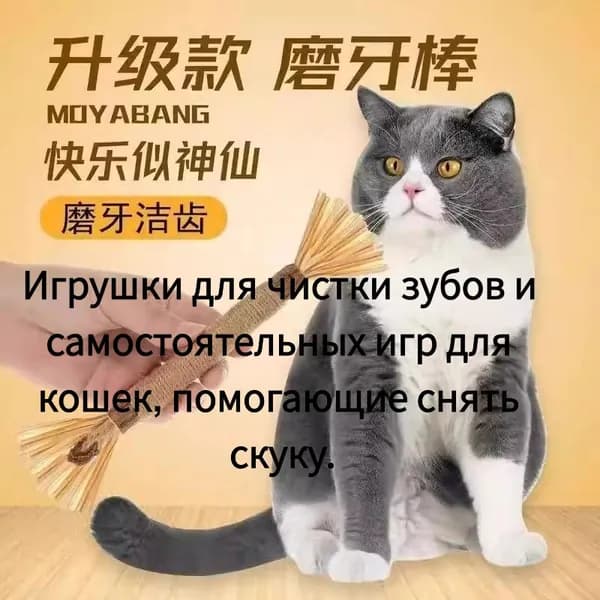 Игрушки для чистки зубов и самостоятельных игр для кошек, помогающие снять скуку.