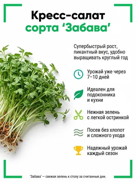 Семена Кресс-салата сорт "Забава"