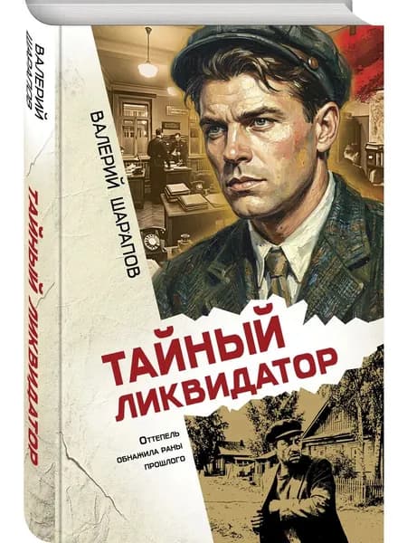 Книга Тайный ликвидатор