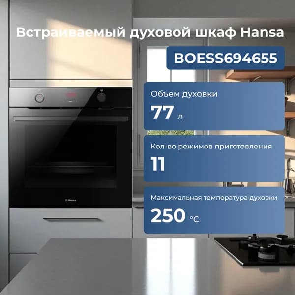 Встраиваемый духовой шкаф Hansa BOESS694655 Уцененный товар