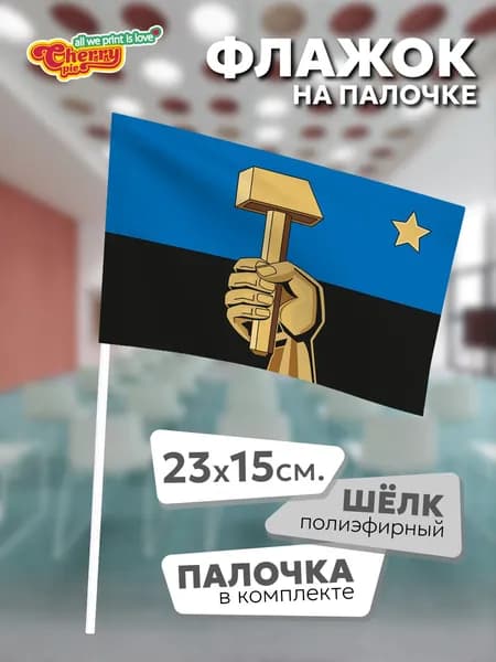 Флаг 23x15 на палочке Донецк (ДНР)
