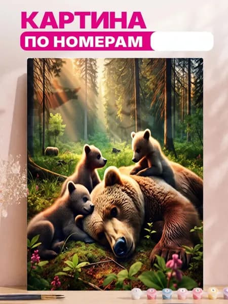 Набор цифровых масляных картин, набор для самостоятельного изготовления подарков на холсте