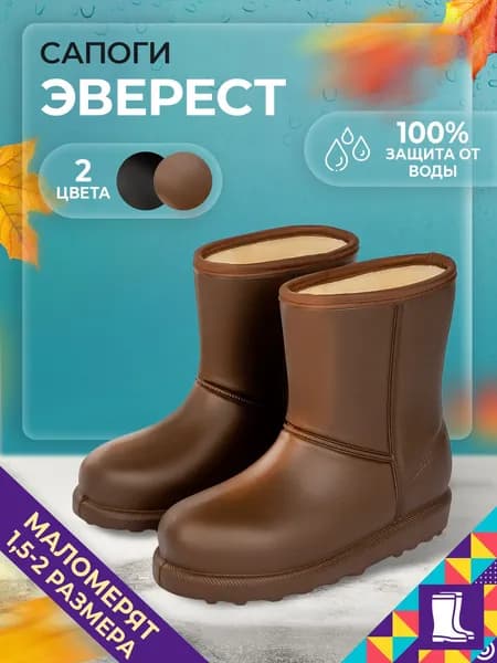 Сапоги