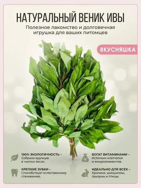 Веник Ивы вкусная игрушка для грызунов, птиц