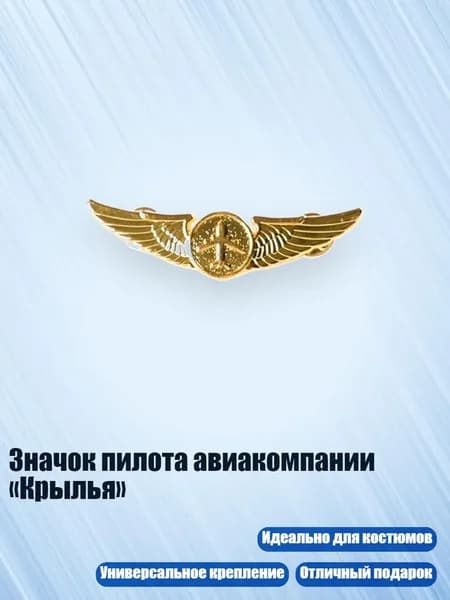 Значок пилота авиакомпании Крылья , - золотой значок самолета